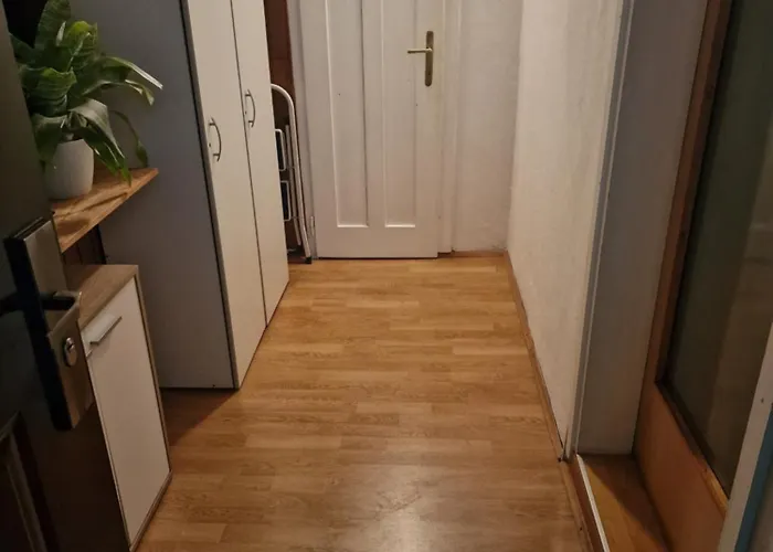 Nočitev z zajtrkom Saso & *