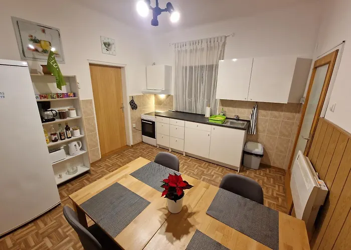 Nočitev z zajtrkom Saso & Ljubljana